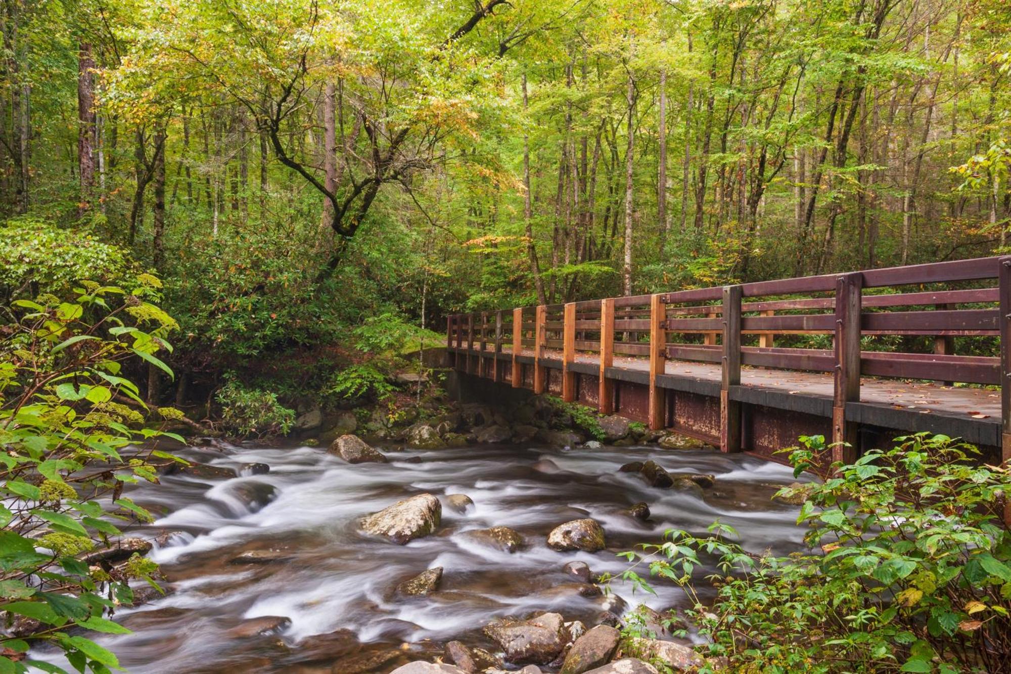 A Happy Cottage- Get 951 Worth Of Free Area Attraction Tickets For Each Paid Day! Pigeon Forge Exteriér fotografie